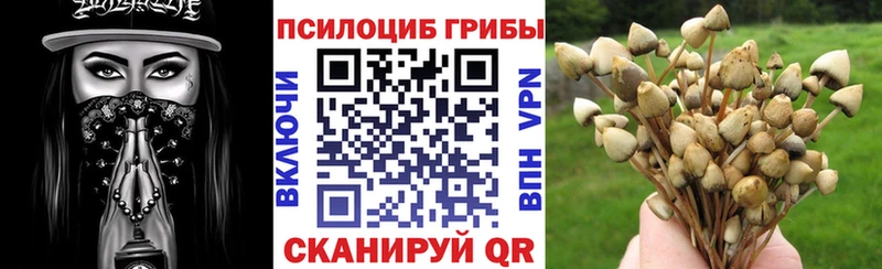Галлюциногенные грибы ЛСД  даркнет сайт  Алушта 